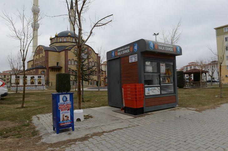 Bayat ekmekler sokak hayvanlarına mama olacak G4