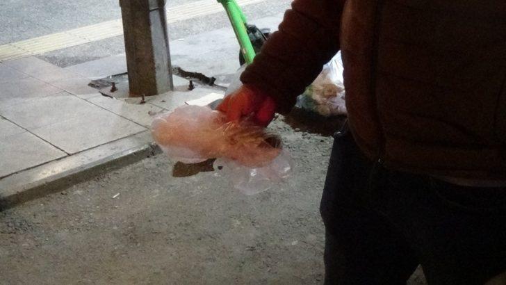 İzmir’de hurdacılar arasında bölge paylaşım kavgası kamerada G3