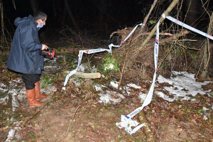 Sinop’ta Kıbrıs gazisi kestiği ağacın altında kalarak hayatını kaybetti G2