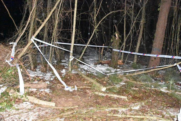 Sinop’ta Kıbrıs gazisi kestiği ağacın altında kalarak hayatını kaybetti G4