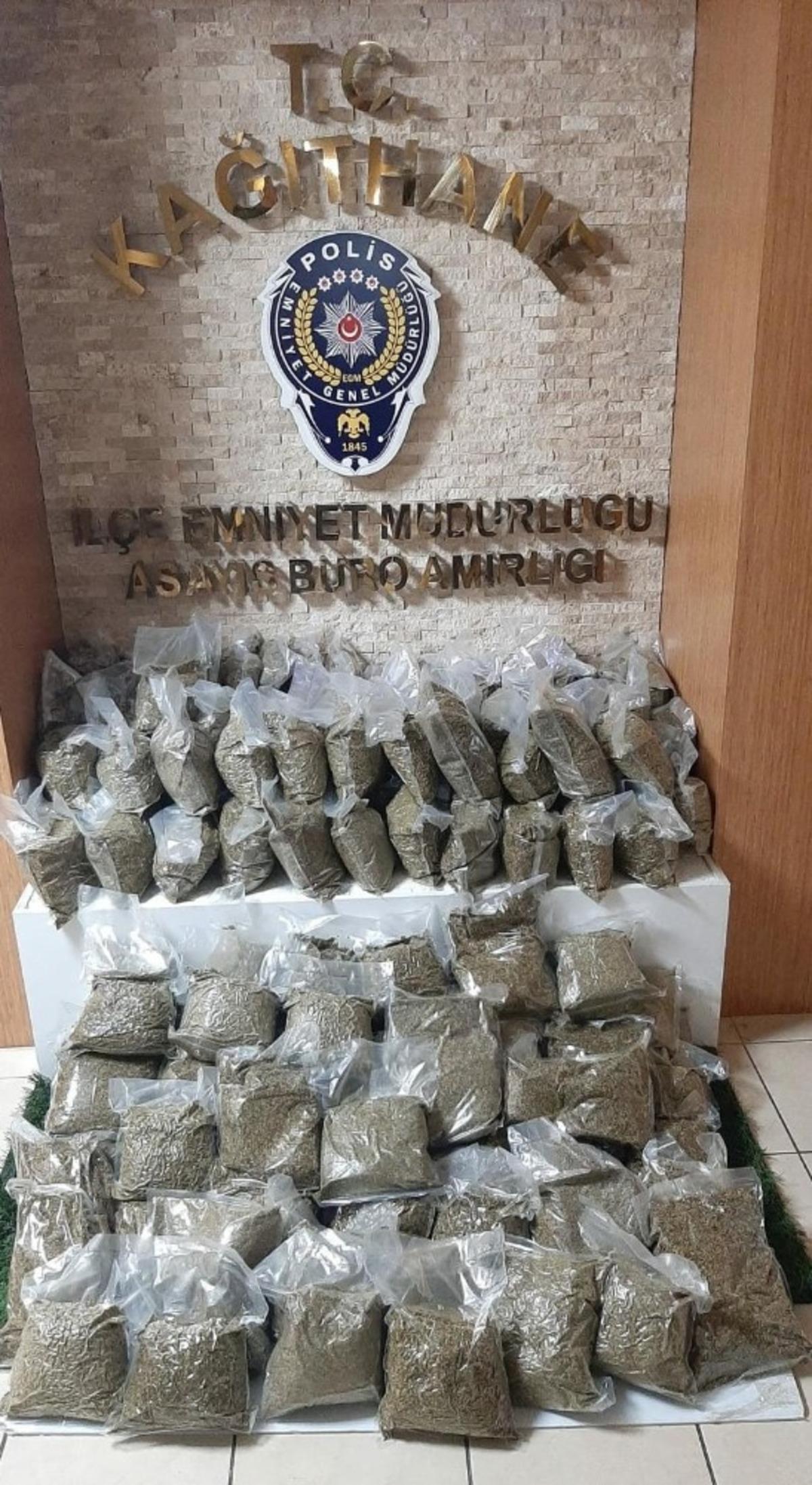 (&Ouml;zel) İstanbul&rsquo;da dev &ldquo;bonzai&rdquo; operasyonu: 74 kilogram ele ge&ccedil;irildi