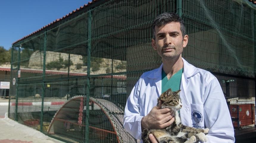 Hayvanlarda kısırlaştırmanın önemi masaya yatırıldı