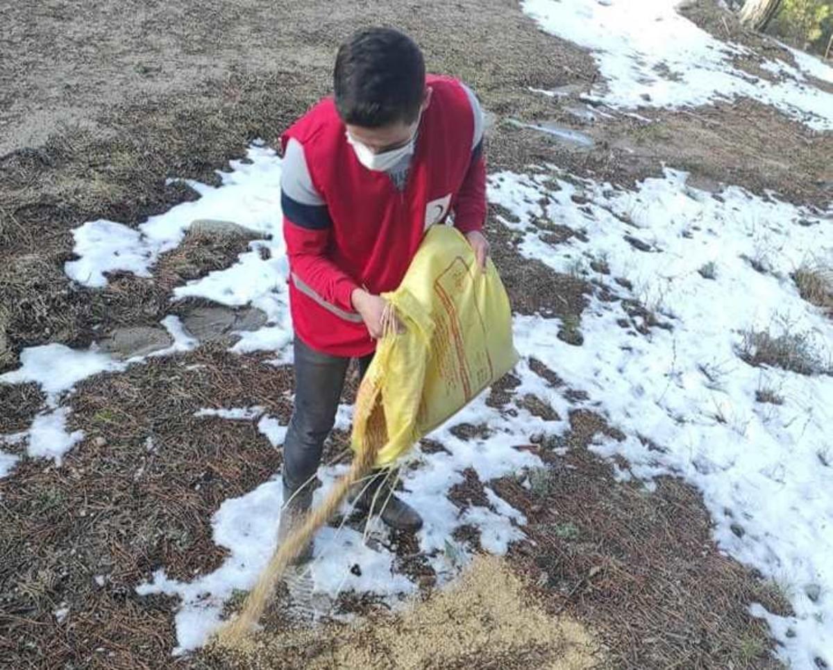 Hisarcık Kızılay g&ouml;n&uuml;ll&uuml;leri kuşlar i&ccedil;in doğaya yem bıraktı