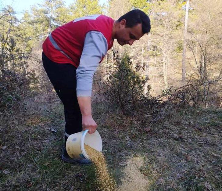 Hisarcık Kızılay gönüllüleri kuşlar için doğaya yem bıraktı G2
