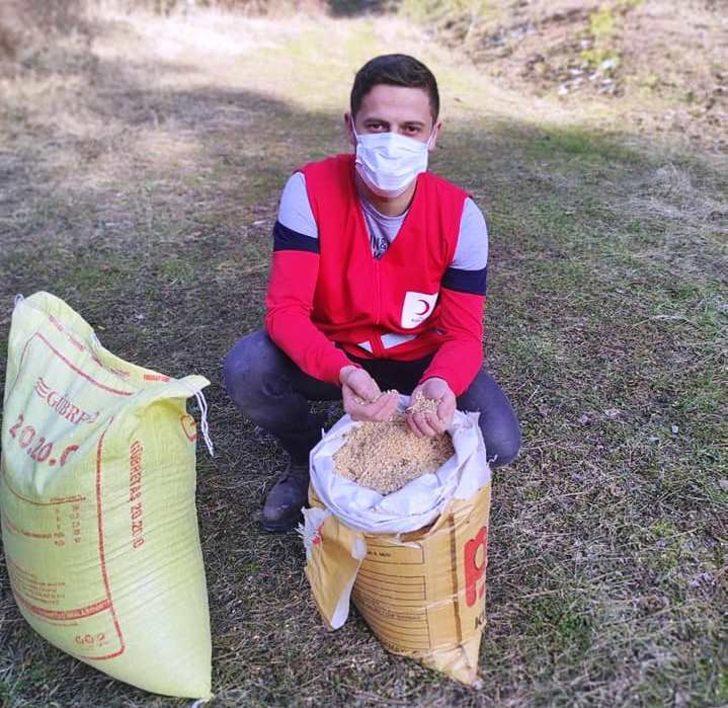 Hisarcık Kızılay gönüllüleri kuşlar için doğaya yem bıraktı G3