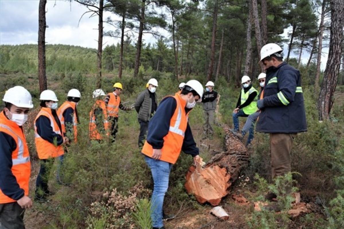 End&uuml;striyel plantasyon sahasında &uuml;retim