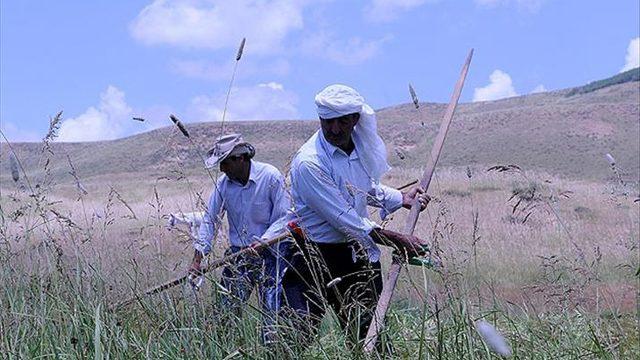 “Ne ekersen onu biçersin” atasözünün anlamı nedir? “Ne ekersen onu biçersin” atasözünün hikayesi...