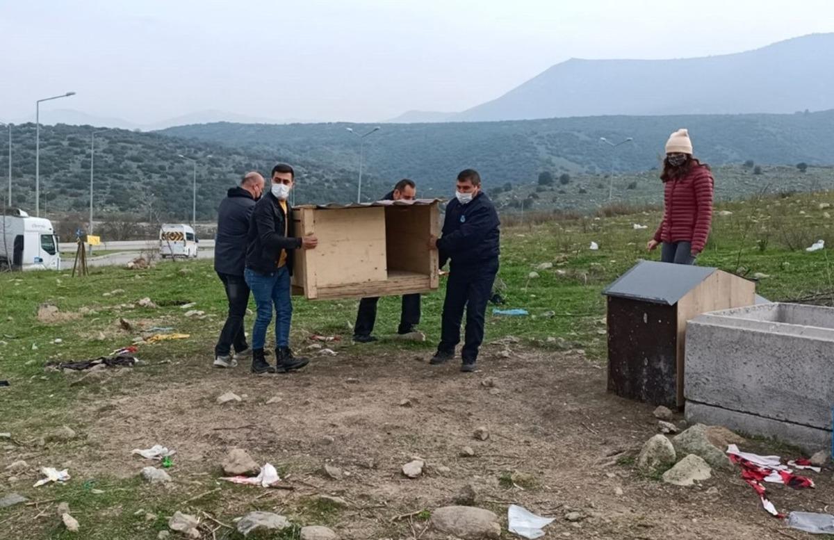 El ele verdiler, sokak hayvanlarını barınaksız bırakmadılar