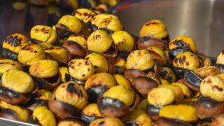 Kestane kebap: Kestane pişirmenin yolunu adım adım anlattık! Önce suda haşlamak...