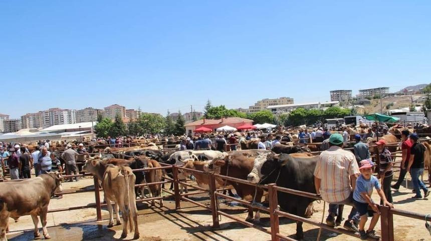 Nevşehir’de Hayvan Pazarı 1 Mart’ta yeniden açılıyor