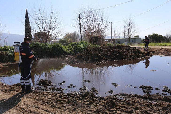 Efeler Belediyesi kent zararlıları ile mücadele ediyor G4