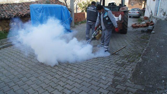 Geyikli’de yaza hazırlık çalışmaları