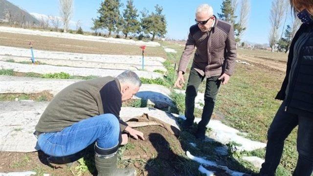 Isparta’da bu yıl 8 milyon 377 bin fidan yetiştirilmesi hedefleniyor