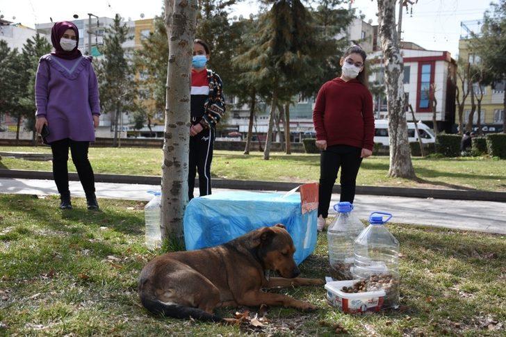 Minik yürekler minik dostlarını unutmadı G2