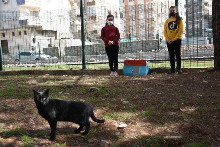 Minik yürekler minik dostlarını unutmadı G3