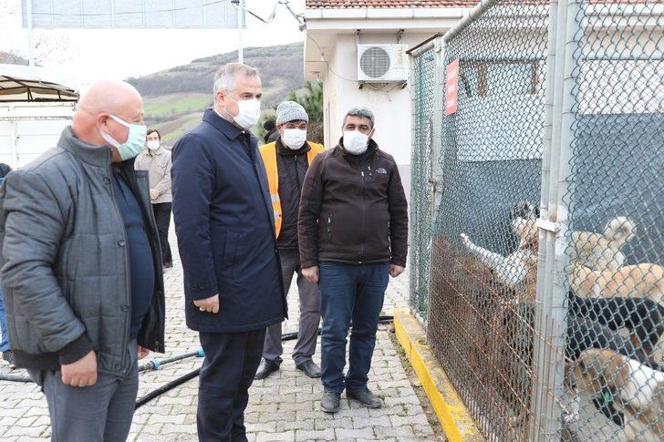 Kılıç: "Can dostlar için daha çok hassasiyet göstereceğiz" G1