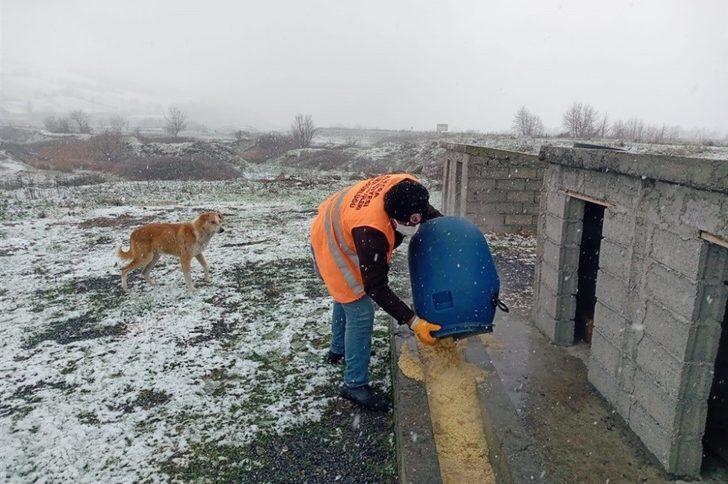 Kılıç: "Can dostlar için daha çok hassasiyet göstereceğiz" G2