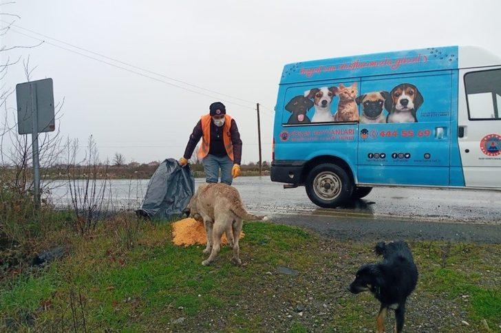 Kılıç: "Can dostlar için daha çok hassasiyet göstereceğiz" G3