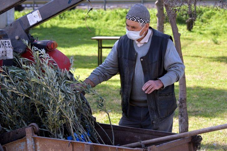 Aliağa’da zeytin şöleni sürüyor G5