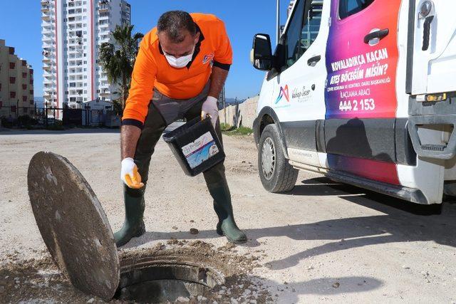 Mersin’de sivrisinek ve larvaya karşı yoğun mücadele