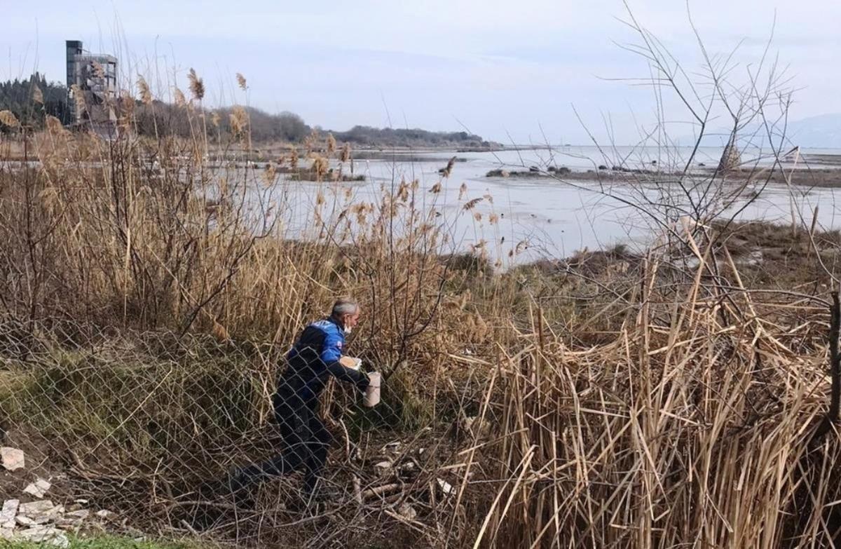 Kuşlar yemlenerek beslendi