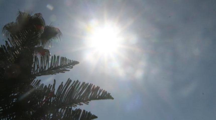 Uzmanlar uyardı! Kanser metastazını önlemede D vitamini önemli rol oynuyor