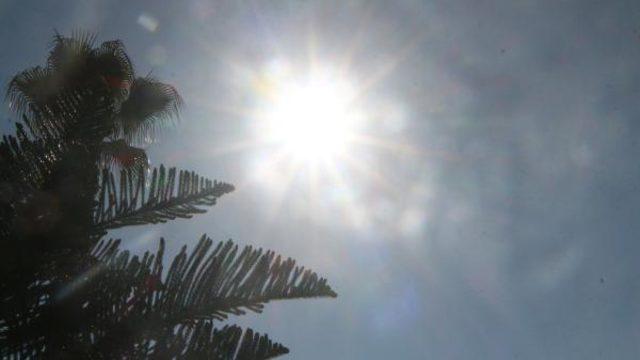 Uzmanlar uyardı! Kanser metastazını önlemede D vitamini önemli rol oynuyor