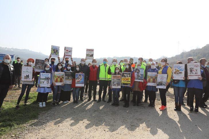 Gönüllüler sokak hayvanları için sokaklara indi G1