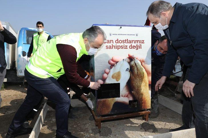 Gönüllüler sokak hayvanları için sokaklara indi G3