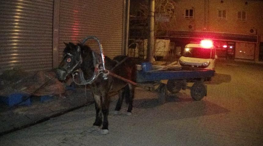 Devriye gezen polislerin dur ikazına uymayıp at arabasını bırakıp gittiler