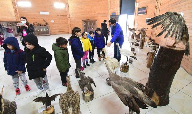 Minik öğrenciler kuşları inceledi G1