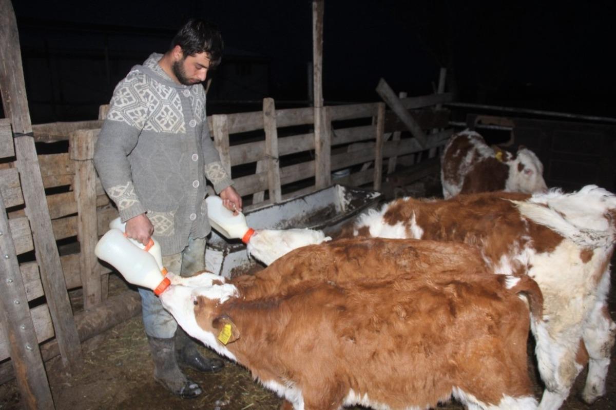 &Uuml;niversiteyi bitirip &ccedil;ift&ccedil;ilik yaparak kendi işinin patronu oldu