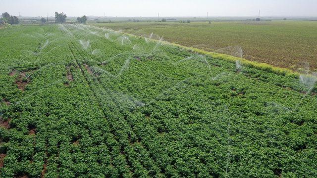 Sulama sistemlerine yüzde 50 hibe verilecek