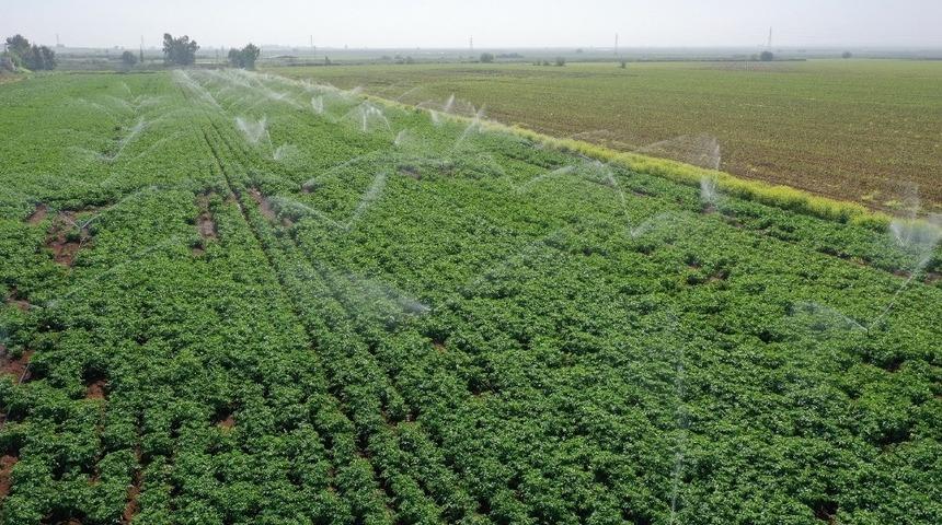 Sulama sistemlerine y&uuml;zde 50 hibe verilecek