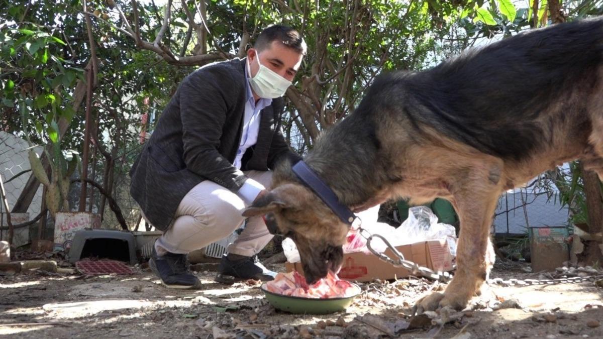 Cezaevinden gelen dilek&ccedil;e hayvanları &ouml;l&uuml;mden kurtardı