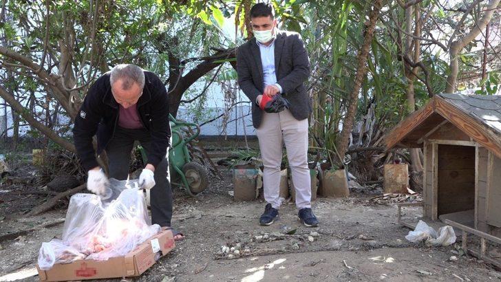 Cezaevinden gelen dilekçe hayvanları ölümden kurtardı G2