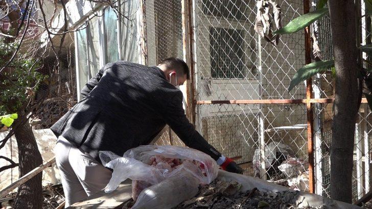 Cezaevinden gelen dilekçe hayvanları ölümden kurtardı G5