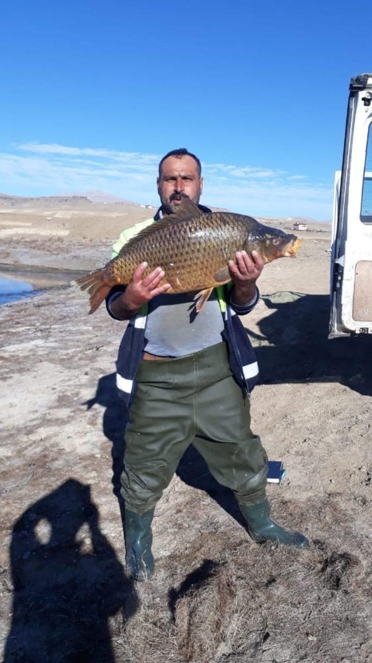 Baraj gölünde 150 santim uzunluğunda balık yakaladılar G4