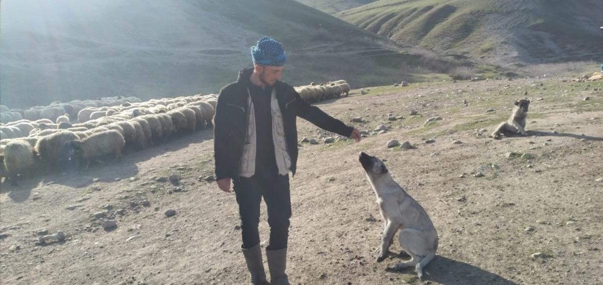 &Ccedil;alınan k&ouml;peğini bulup getirene 20 bin lira &ouml;d&uuml;l verecek