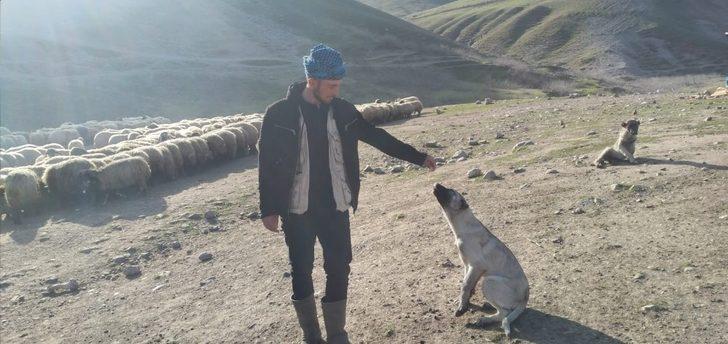 Çalınan köpeğini bulup getirene 20 bin lira ödül verecek G1