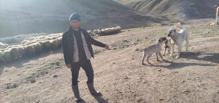 Çalınan köpeğini bulup getirene 20 bin lira ödül verecek G3