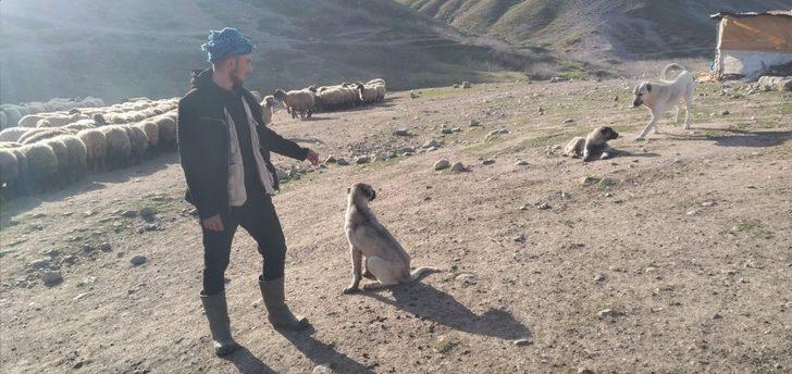 Çalınan köpeğini bulup getirene 20 bin lira ödül verecek G4