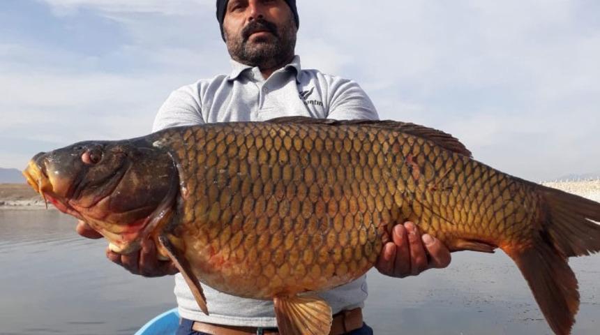 Baraj gölünde 150 santim uzunluğunda balık yakaladılar