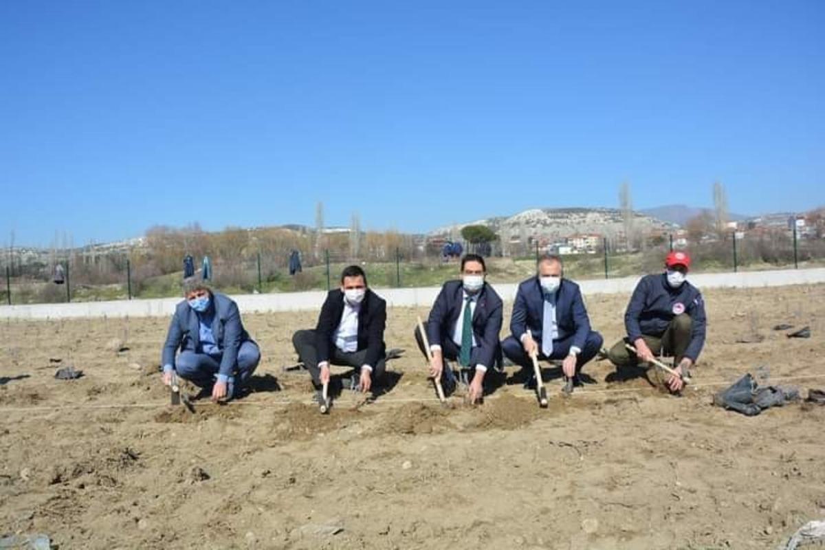 Selendi&rsquo;de cirit sahası artık lavanta kokacak