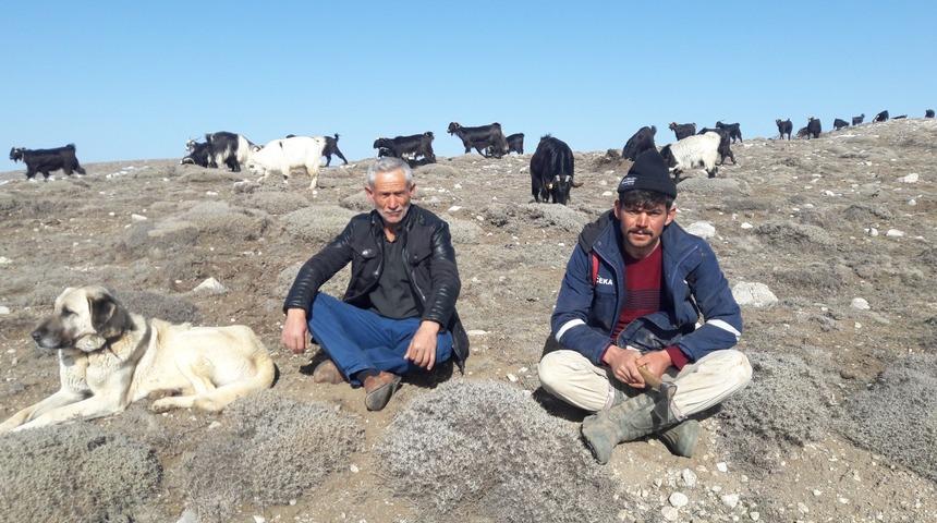 Koronavirüs yanına yaklaşamıyor! 1600 rakımda sağlık dolu yaşam