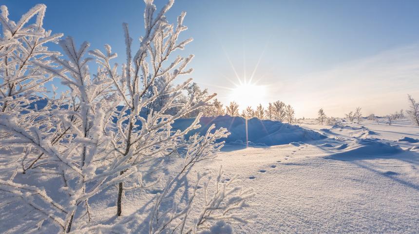 Bilim insanlarından küresel ısınma uyarısı: Kuzey Avrupa giderek soğuyacak