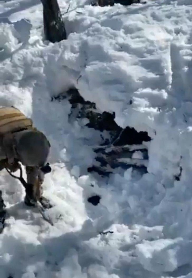 Tunceli’deki Eren-7 operasyonunda 3 sığınak imha edildi G2