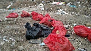 Ankara'da boş arazide 20 ölü köpek bulundu