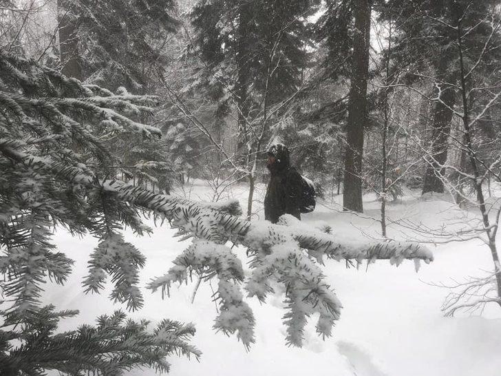 Kaçak avcılar ne kar dinledi ne de yasak G3
