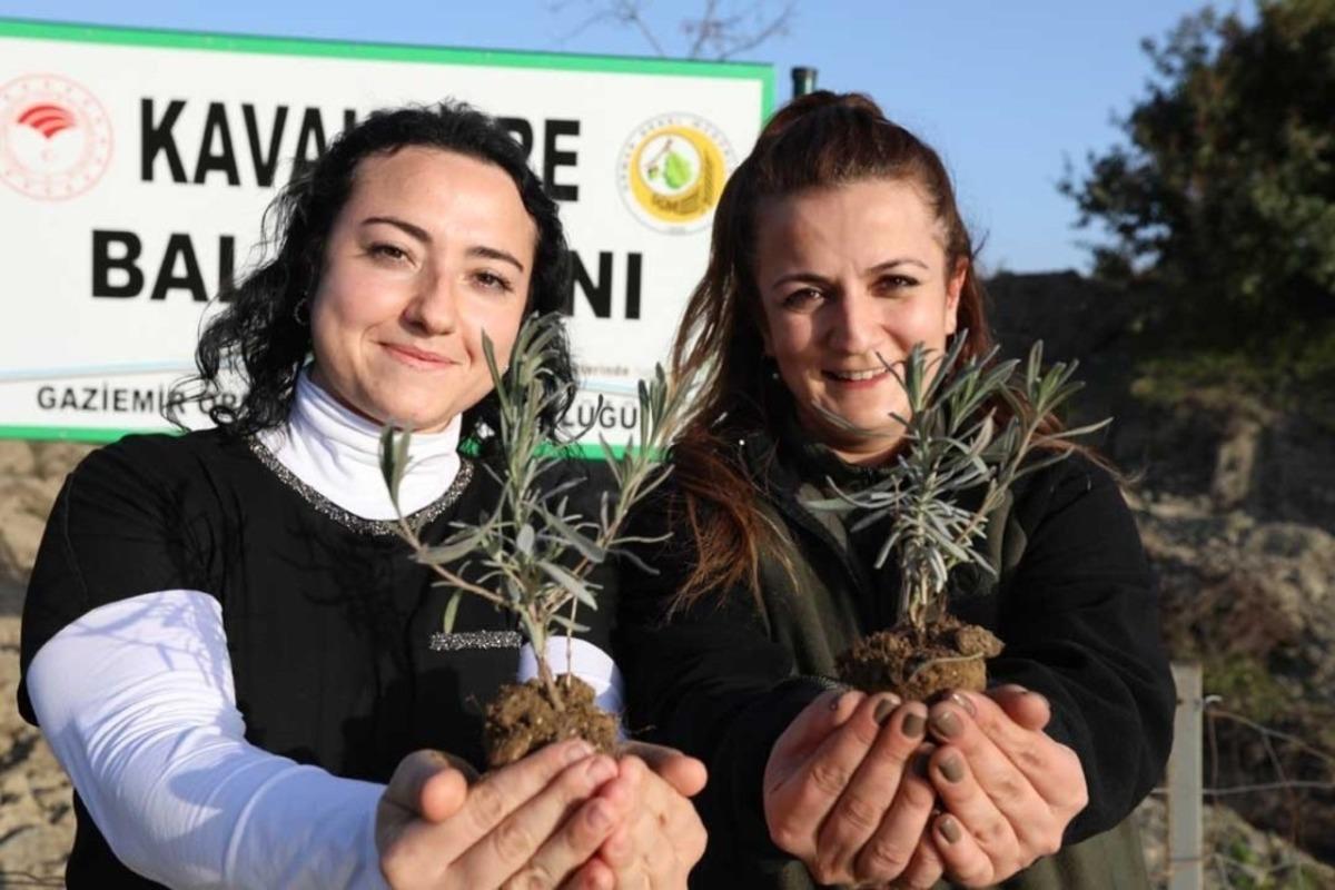 Bu ormandan bal damlayacak, k&ouml;yl&uuml;ye gelir olacak